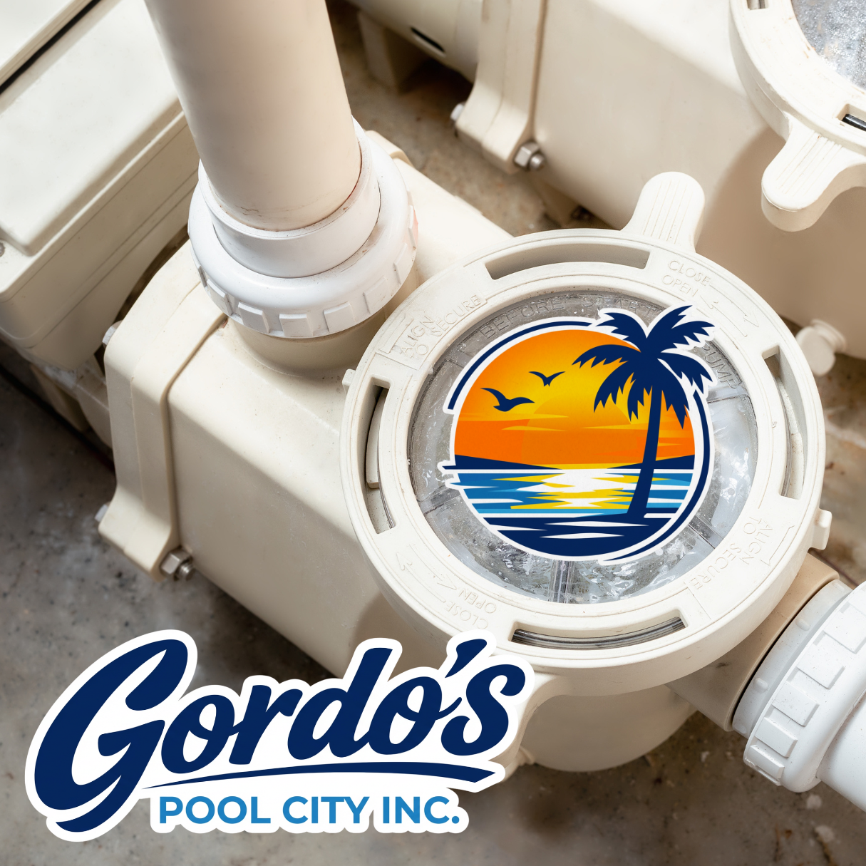 Pool pump and filter systems graphic